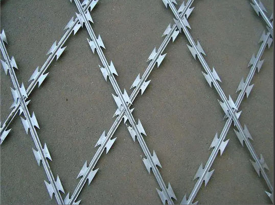качество  75mmx150mm Welded Razor Wire Mesh Rot Proof Function завод